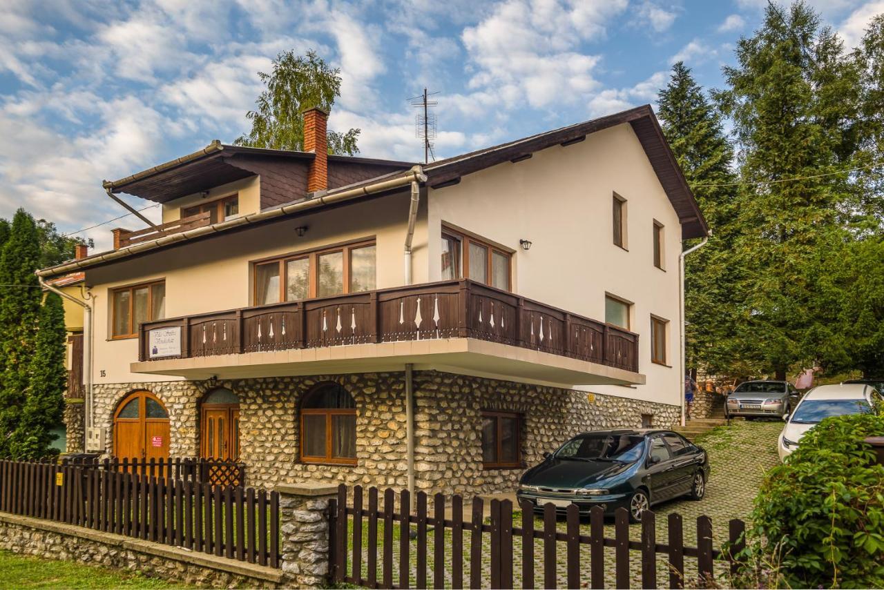 Villa Szilva Vendeghaz Сільвашварад Екстер'єр фото